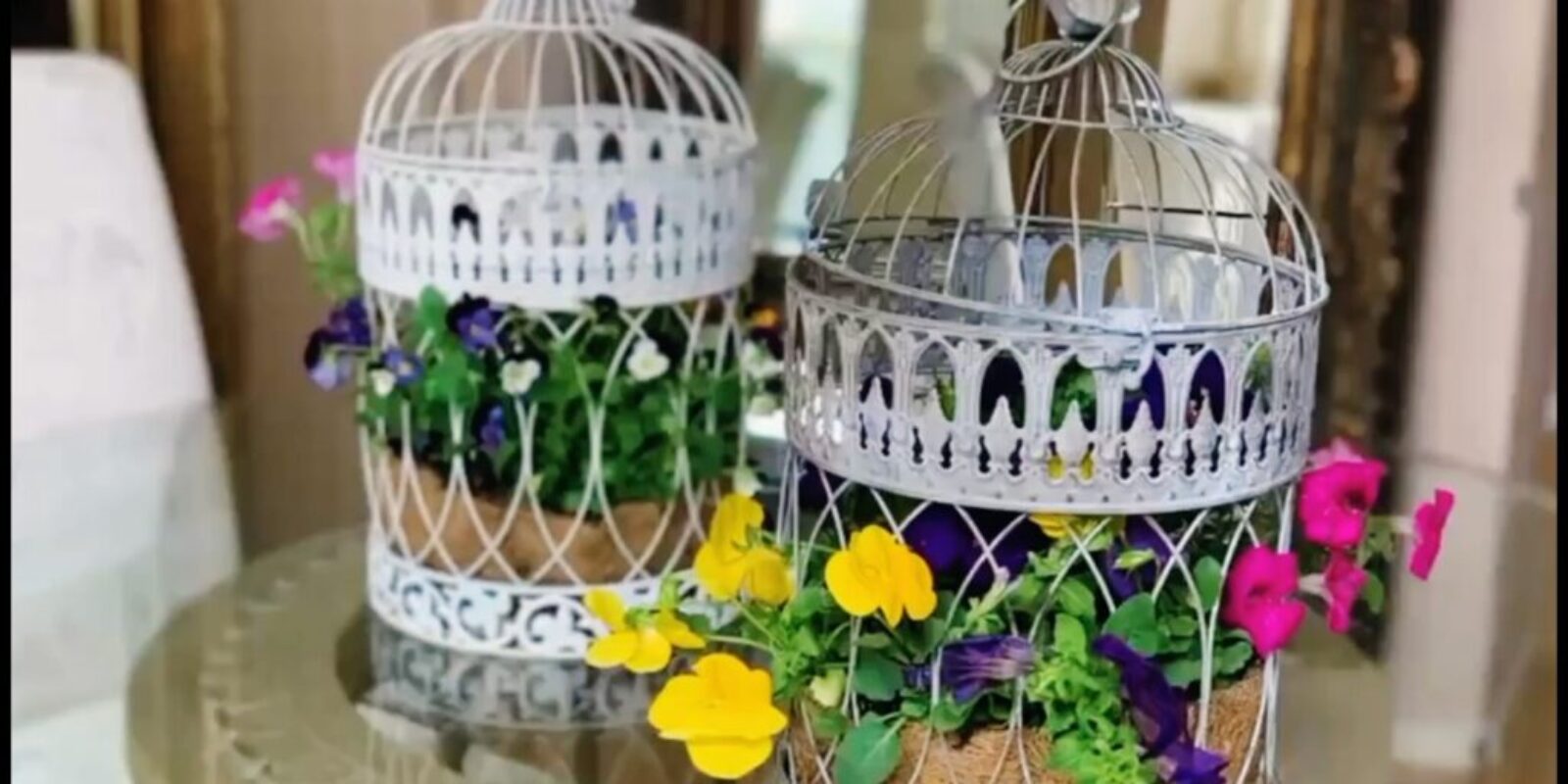 4. DIY Birdcage Planter Makeover