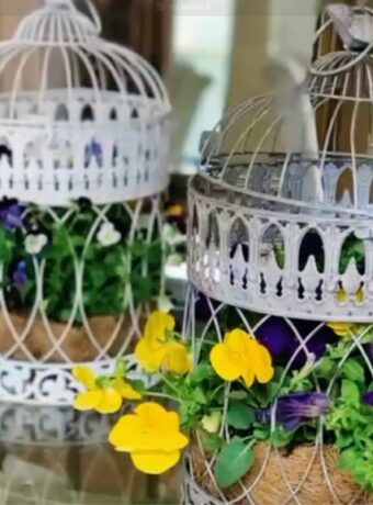 4. DIY Birdcage Planter Makeover